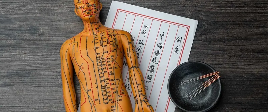 Mannequin d’acupuncture, planche de méridiens et aiguilles stériles disposées dans une coupelle